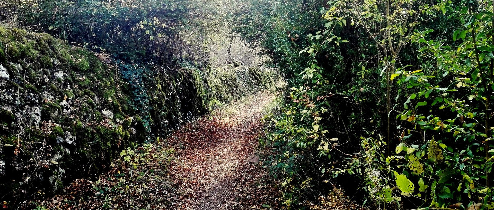 Paseo de las ermitas - Senderismo