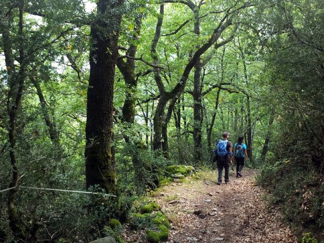 Valle de Sositana - Senderismo