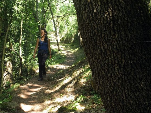 Bosques de la Sierra de Chía - Senderismo