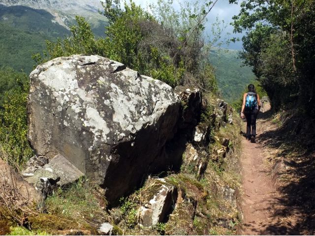 Bosques de la Sierra de Chía - Senderismo