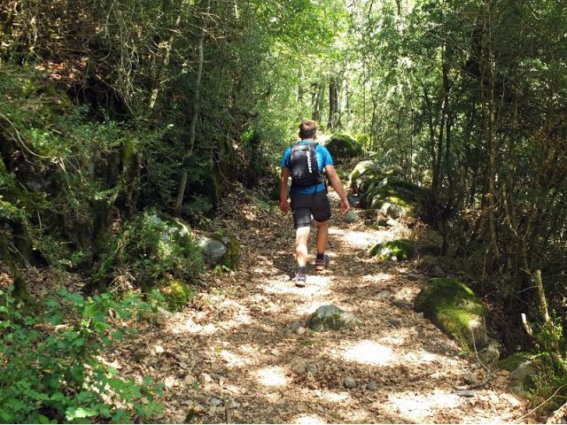 Bosques de la Sierra de Chía - Senderismo