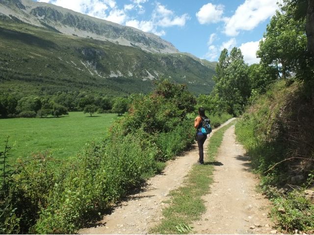 Bosques de la Sierra de Chía - Senderismo