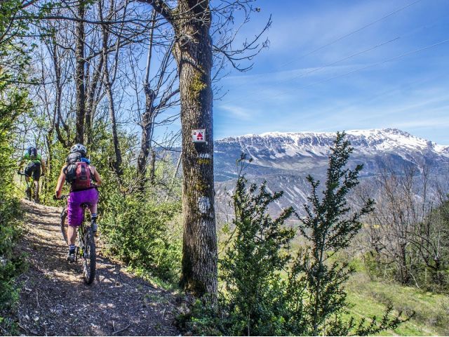 Bosques de Bisaurri - BTT