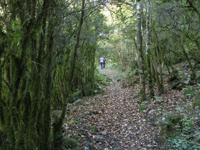 Trail del Ventamillo - Trail Running