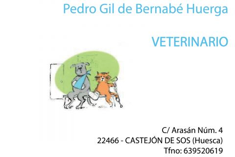 CONSULTA VETERINARIA PEDRO GIL DE BERNABÉ