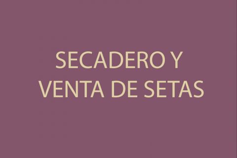 SECADERO Y VENTA DE SETAS